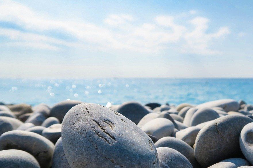 The Iconic Pet Rock Was an Ordinary Beach Stone from Rosarito Beach in Mexico